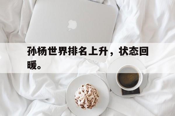 九游游戏中心官网在线-孙杨世界排名上升，状态回暖。