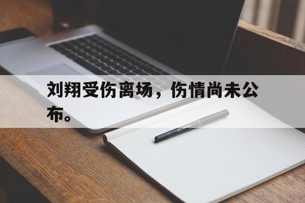 九游游戏中心官网在线-刘翔受伤离场，伤情尚未公布。